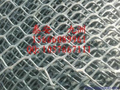 溫州高強(qiáng)度土工網(wǎng)與泰安九洲土工格室 規(guī)格齊全，應(yīng)用廣泛